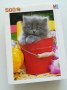 MB-005-puzzle-chaton-500-pieces